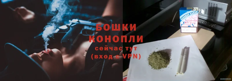 Бошки марихуана THC 21%  дарнет шоп  Цоци-Юрт 